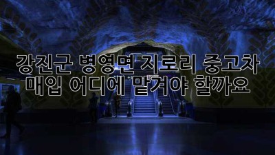 강진군 병영면 지로리 중고차 매입, 어디에 맡겨야 할까요?